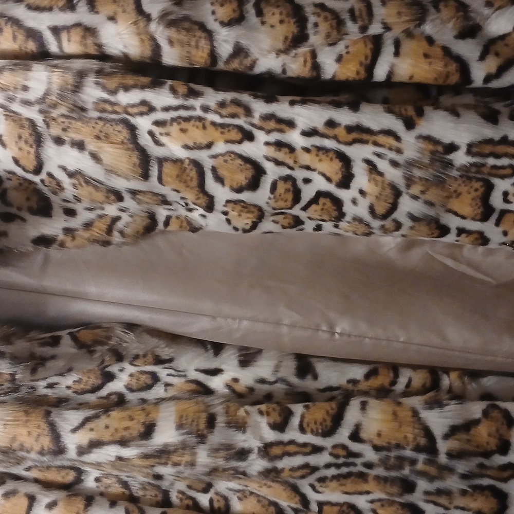 In the process of moving into a new location.